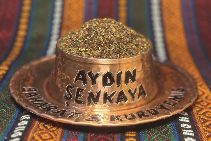 SALATA BAHARATI